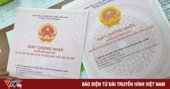 Công chứng viên gặp khó với giấy tờ giả | VTV24